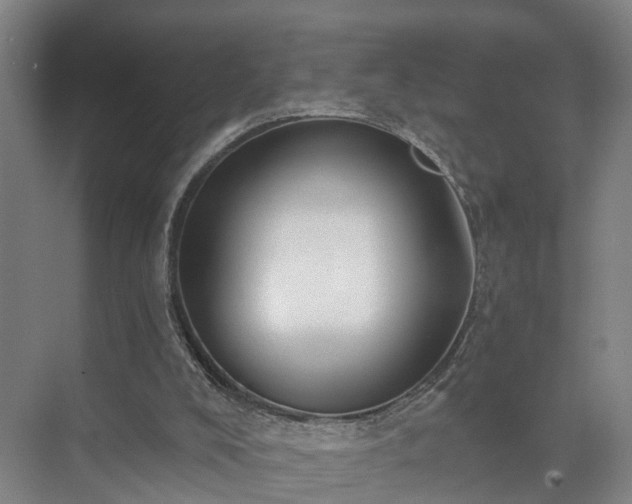 X0000072960008200607282308