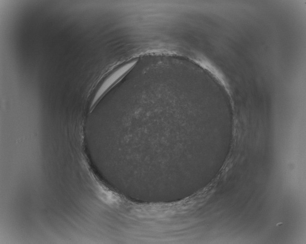 X0000072960009200607282308