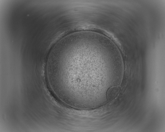 X0000072960010200607282308