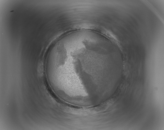 X0000072960012200607282308