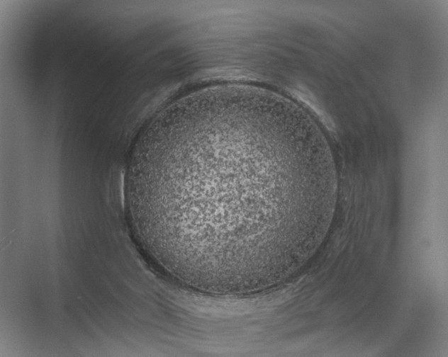 X0000072960014200607282308