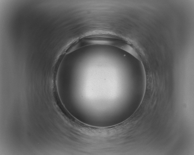 X0000072960015200607282308