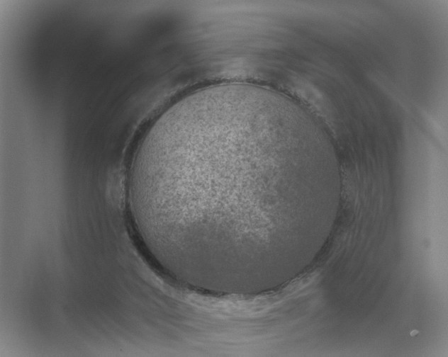 X0000072960016200607282308