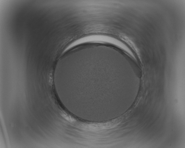 X0000072960017200607282308