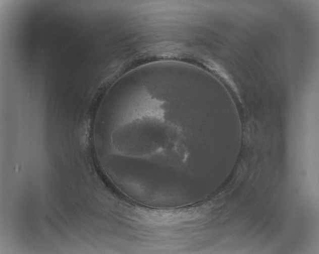 X0000072960018200607282308