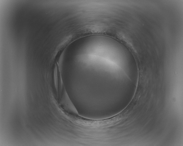 X0000072960019200607282308