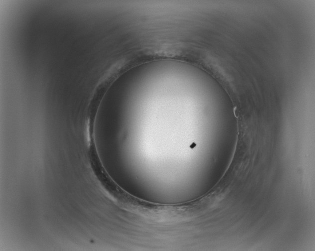 X0000072960020200607282308