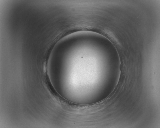 X0000072960021200607282307