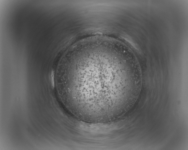 X0000072960022200607282307