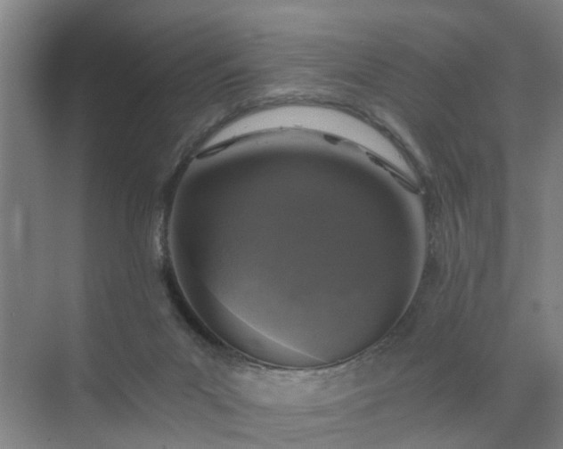 X0000072960023200607282307