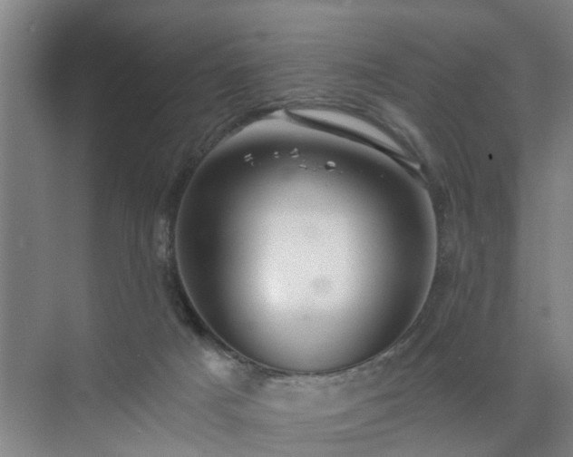 X0000072960025200607282307