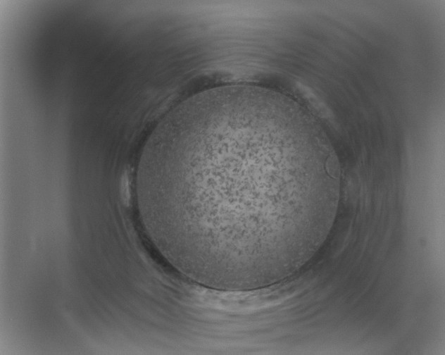 X0000072960026200607282307