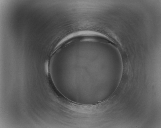 X0000072960027200607282307