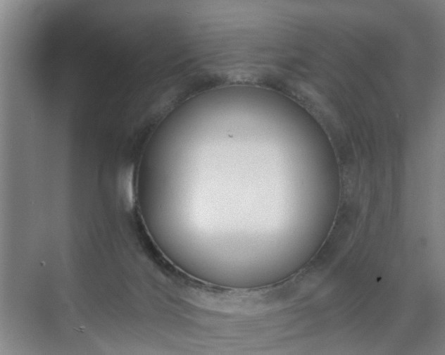 X0000072960028200607282307