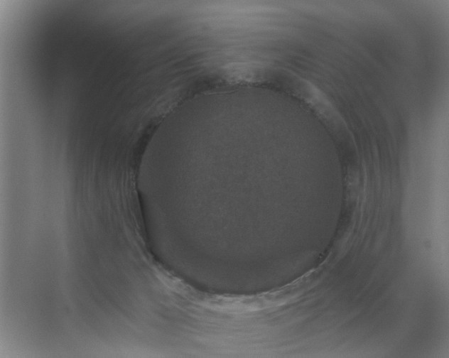 X0000072960029200607282307