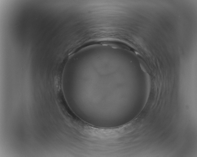 X0000072960031200607282307