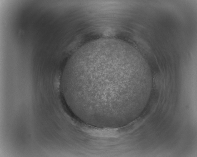 X0000072960032200607282307