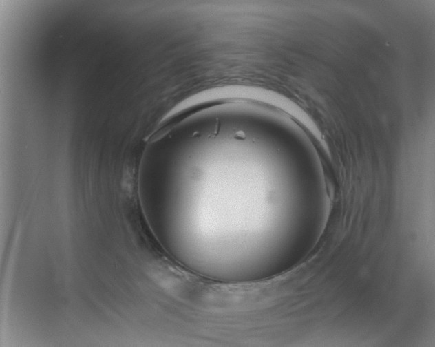 X0000072960033200607282307