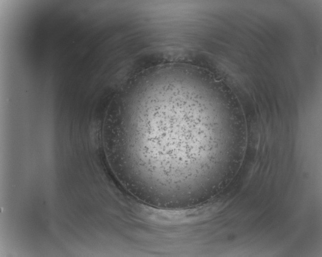 X0000072960034200607282307