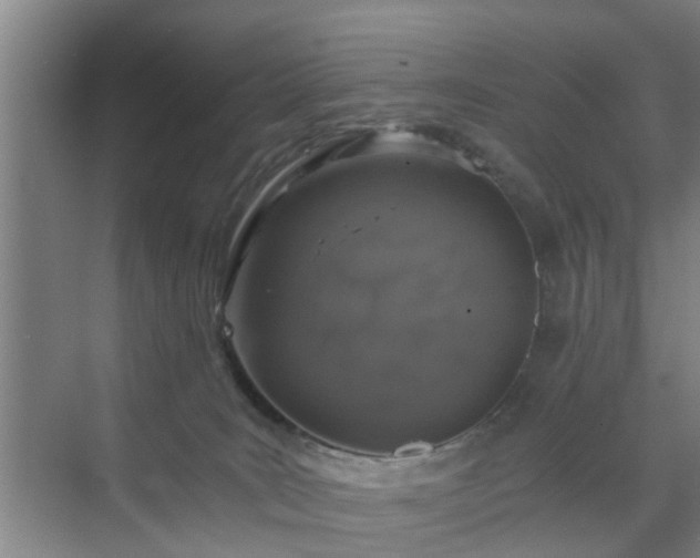 X0000072960035200607282307