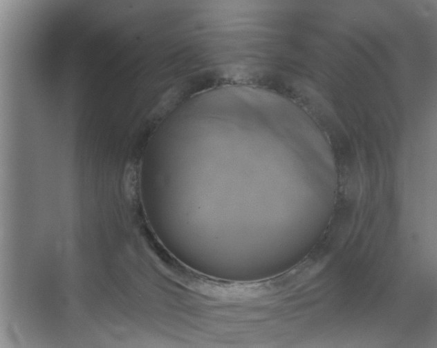 X0000072960036200607282307