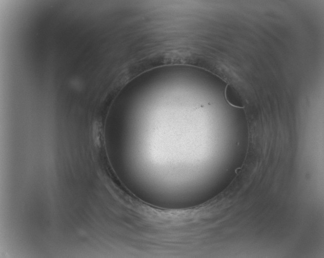 X0000072960038200607282307