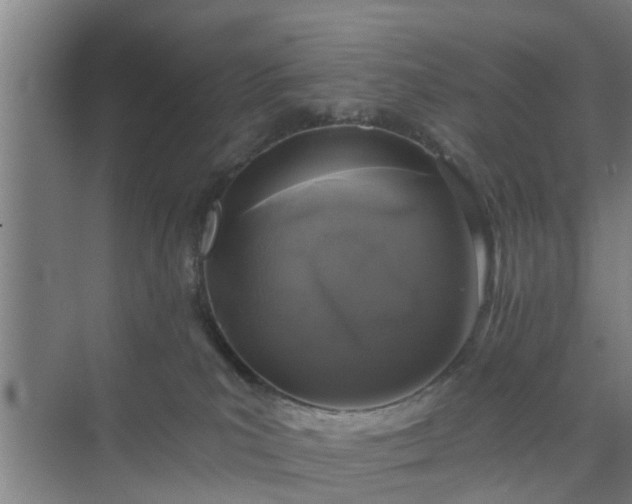 X0000072960039200607282307