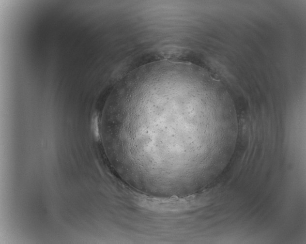 X0000072960042200607282307