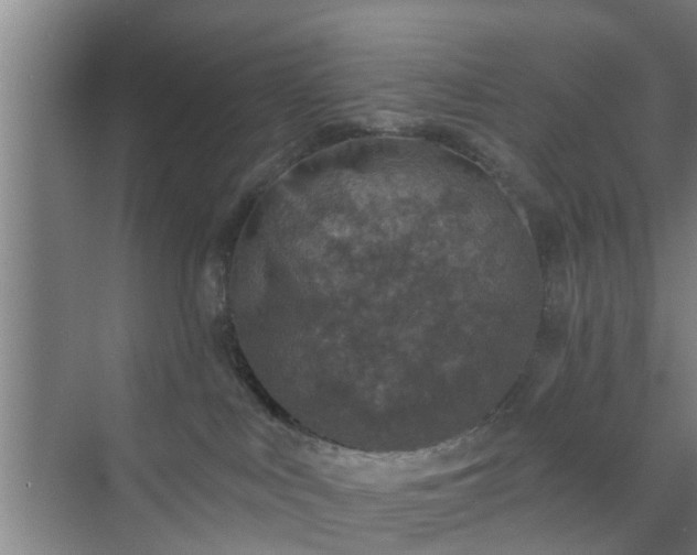 X0000072960043200607282307