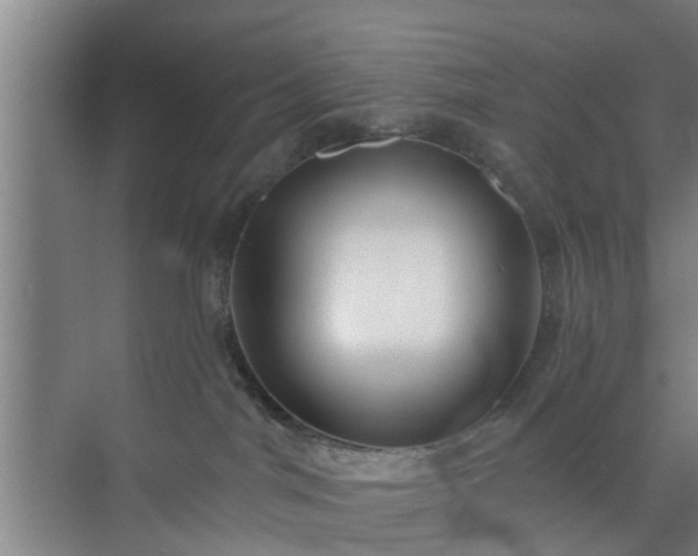 X0000072960044200607282307