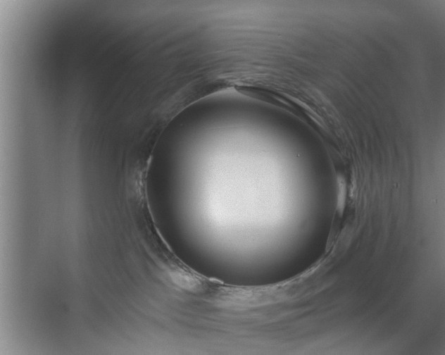 X0000072960045200607282307