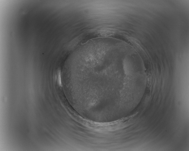 X0000072960046200607282307