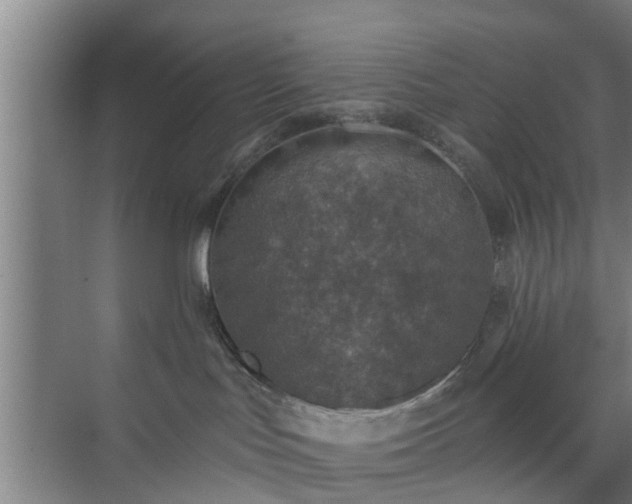 X0000072960047200607282307