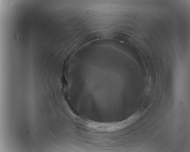 X0000072960048200607282307