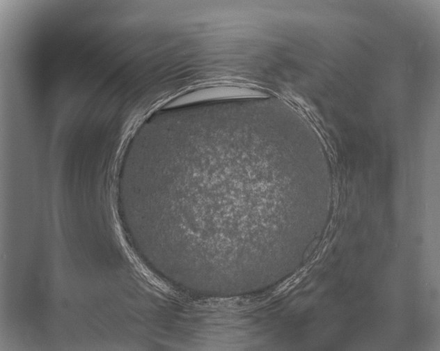 X0000072960049200607282306