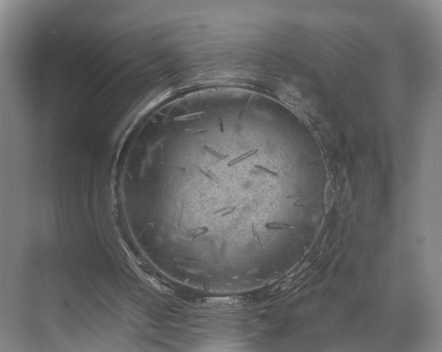 X0000072960050200607282306