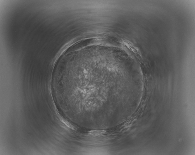 X0000072960051200607282306