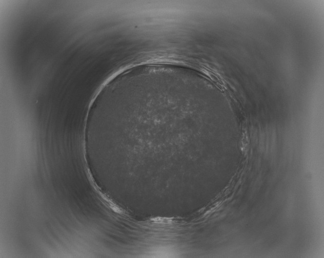 X0000072960052200607282306