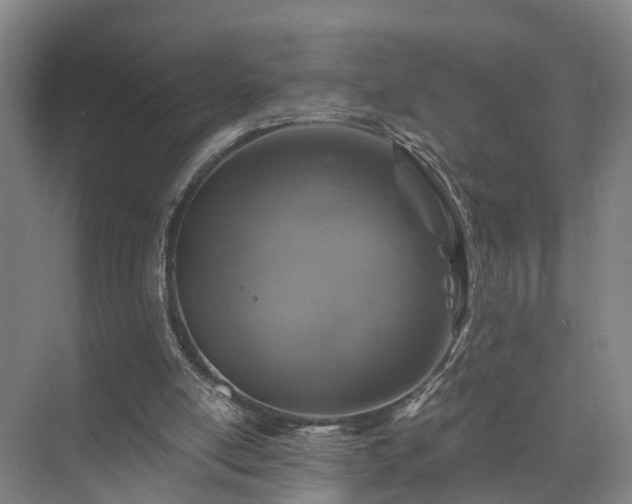 X0000072960054200607282306