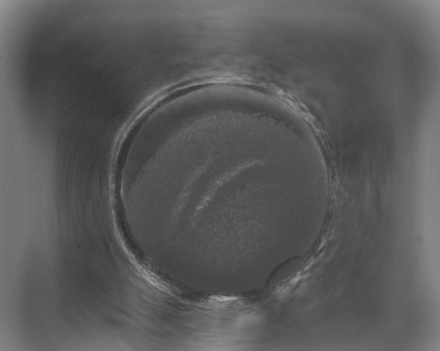 X0000072960055200607282306