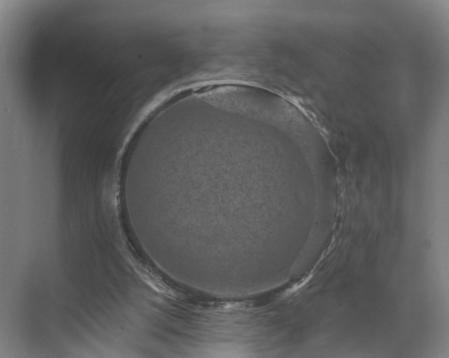 X0000072960056200607282306