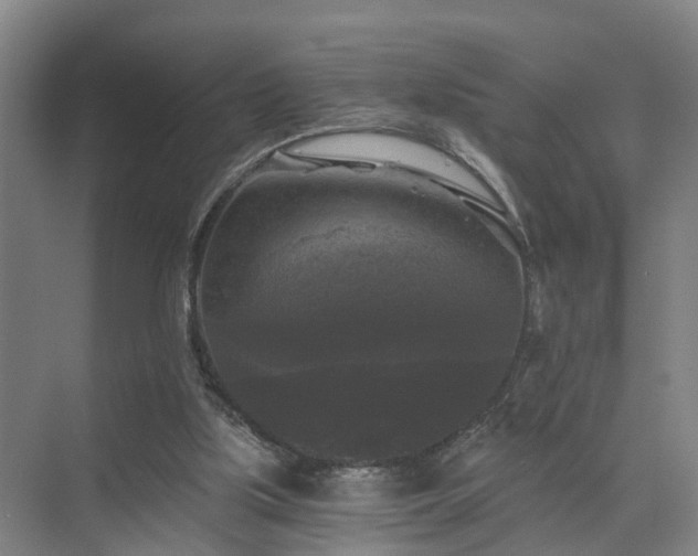 X0000072960059200607282306