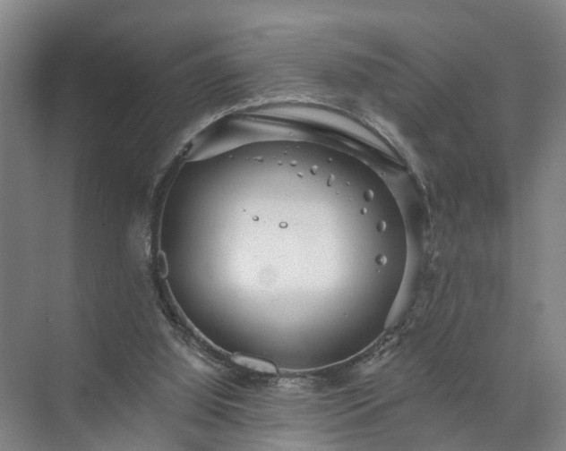 X0000072960060200607282306