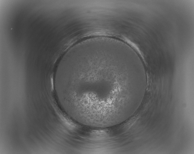 X0000072960061200607282306