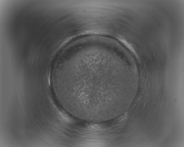 X0000072960062200607282306