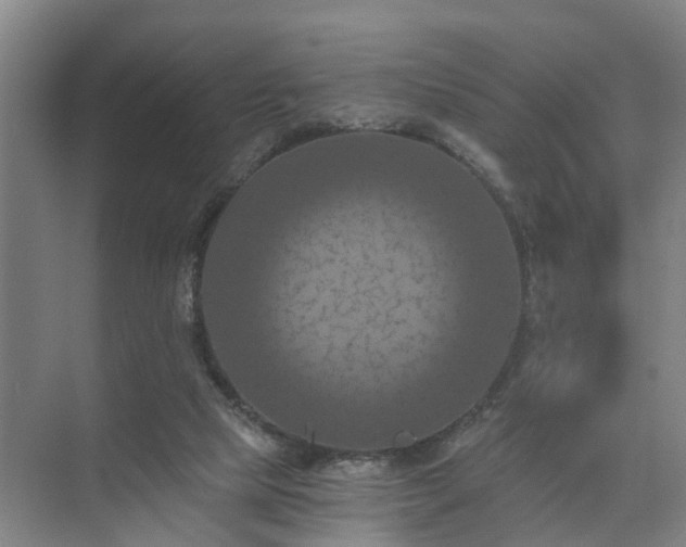 X0000072960065200607282307