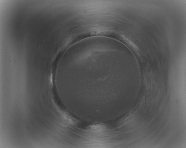 X0000072960067200607282307