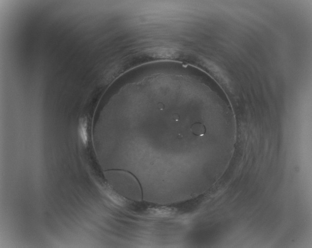 X0000072960069200607282307