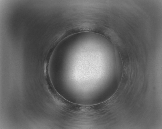 X0000072960070200607282307