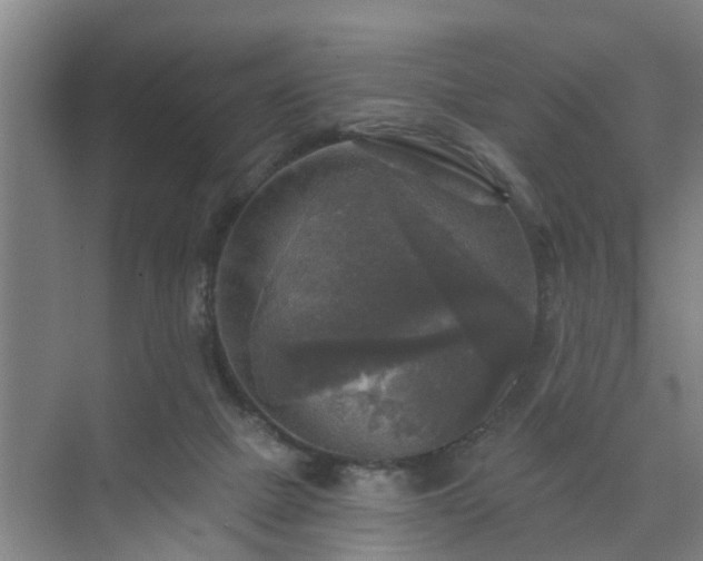 X0000072960073200607282307